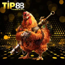 đá gà tip88.guru